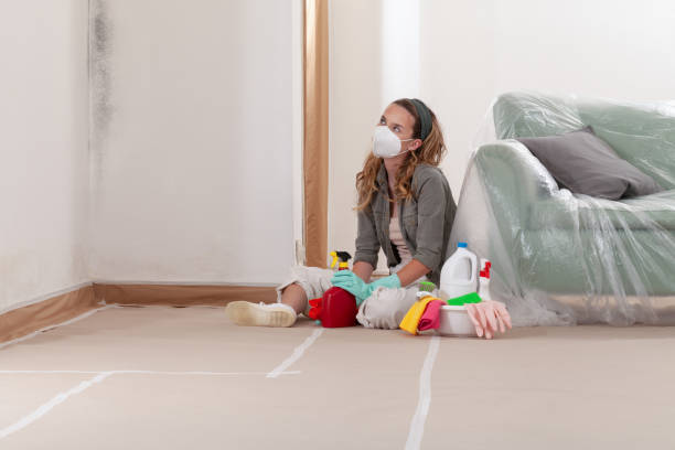 Reliable Crawl Space Mold Remediation contractor in Medford, NY by Mold Remediation HQ